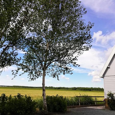 Jo'S B&B Purmer エクステリア 写真